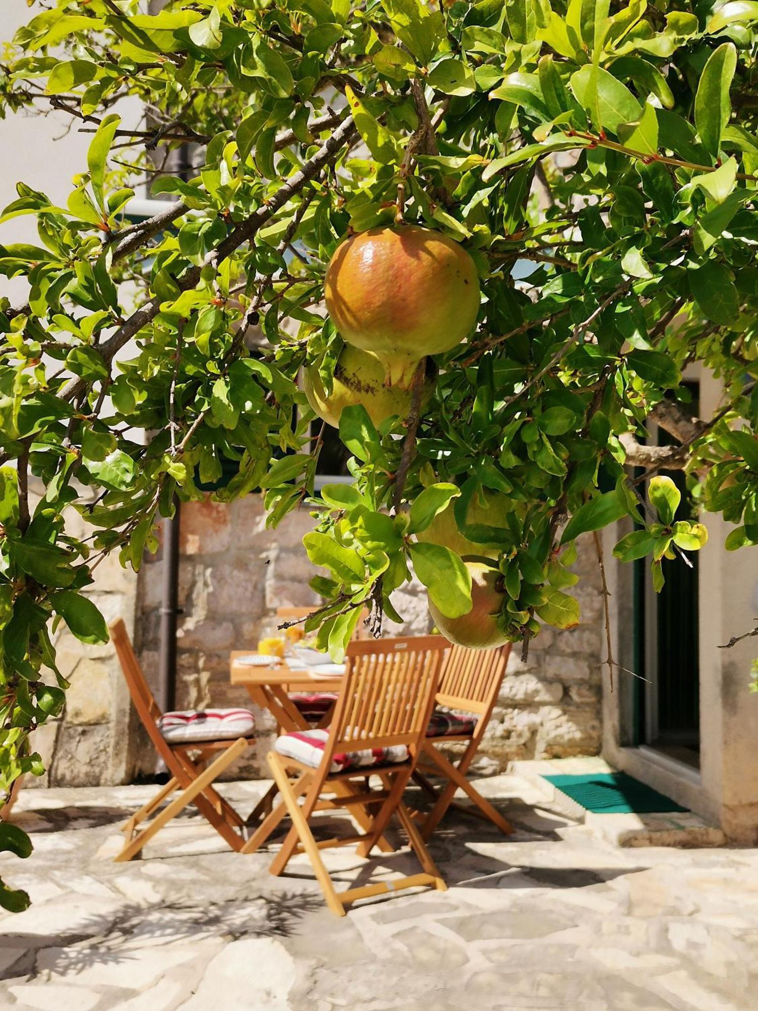 Charming Traditional Townhouse - Holiday Home Kata Jezera Dış mekan fotoğraf